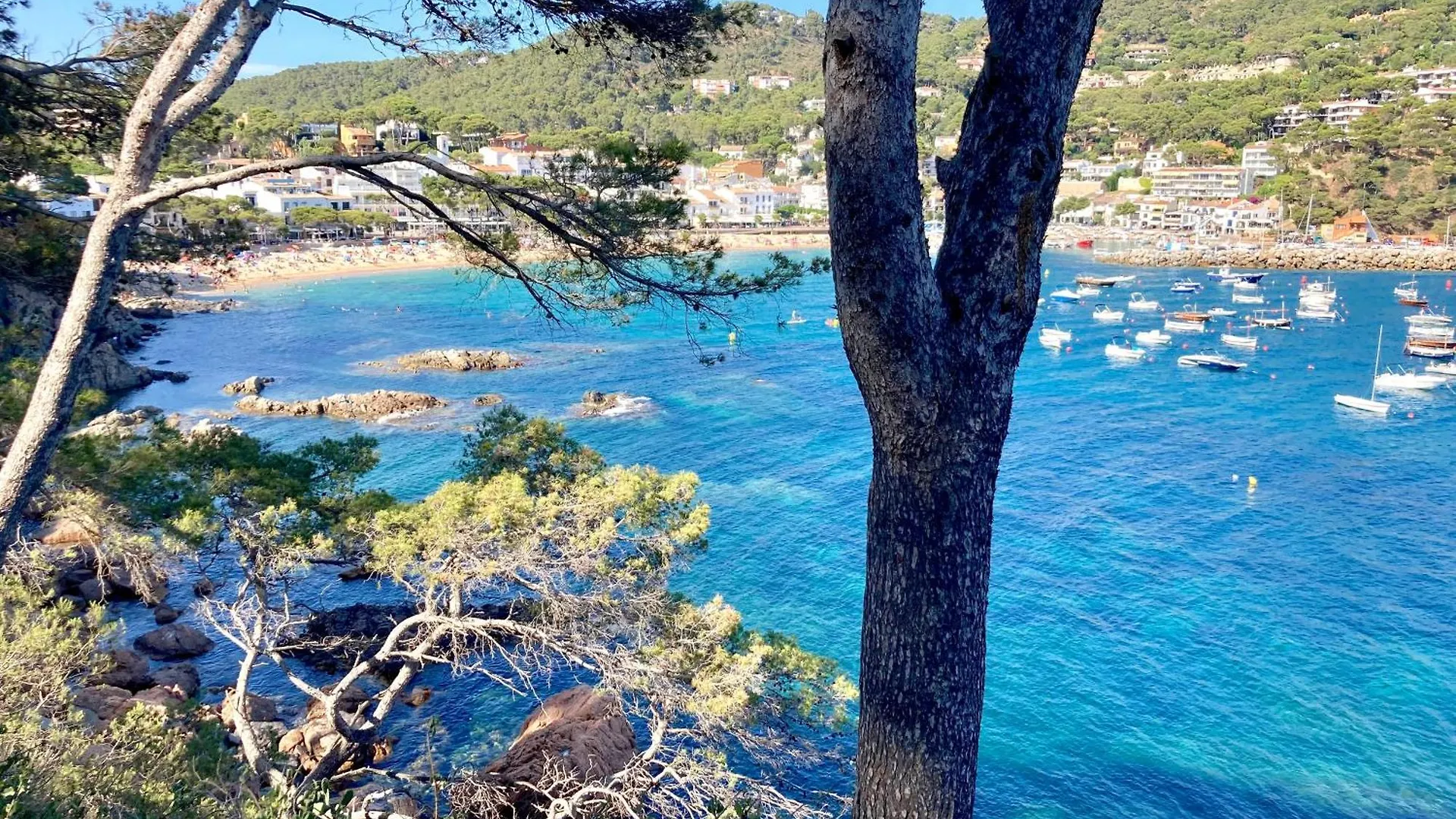 Apartment Villa Care 2 - Llafranc Spain